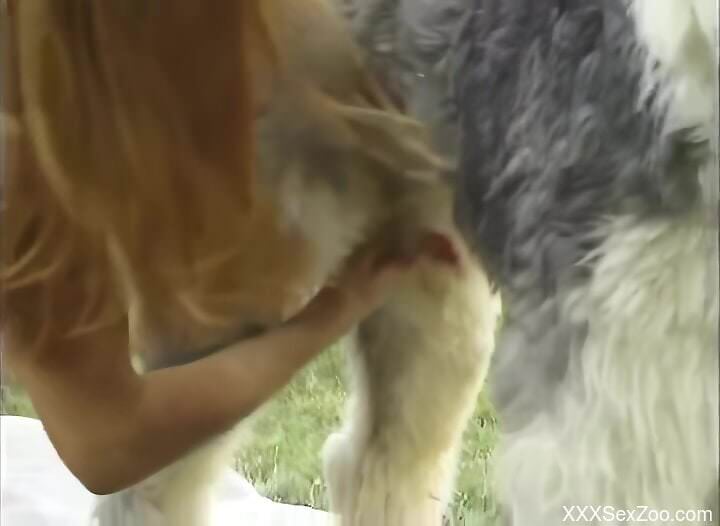 Nude women try the dog's furry cock for intimate outdoor sex
