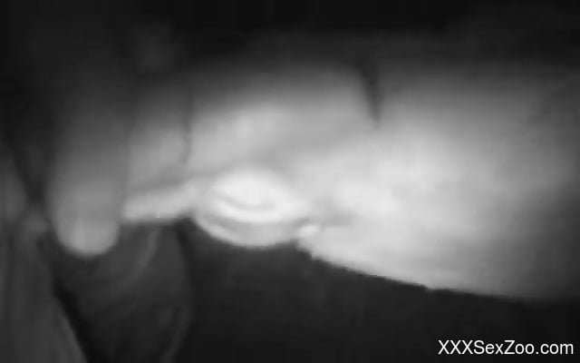 Nighttime fuck session with a small-dicked zoophile