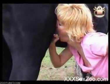 Blondes and brunettes sucking horse cocks outdoors