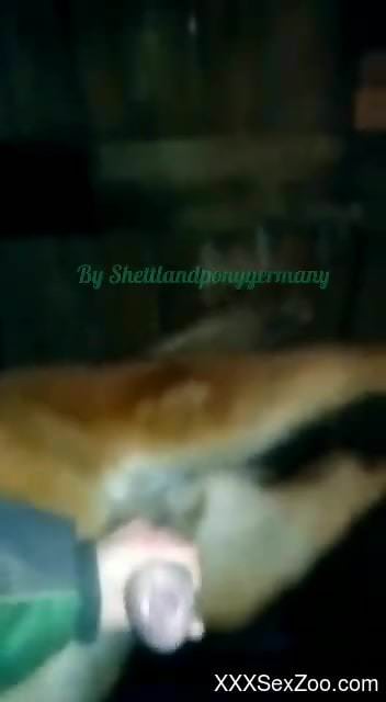 Furry zoo cam sex reveals man's dirty desires for porn