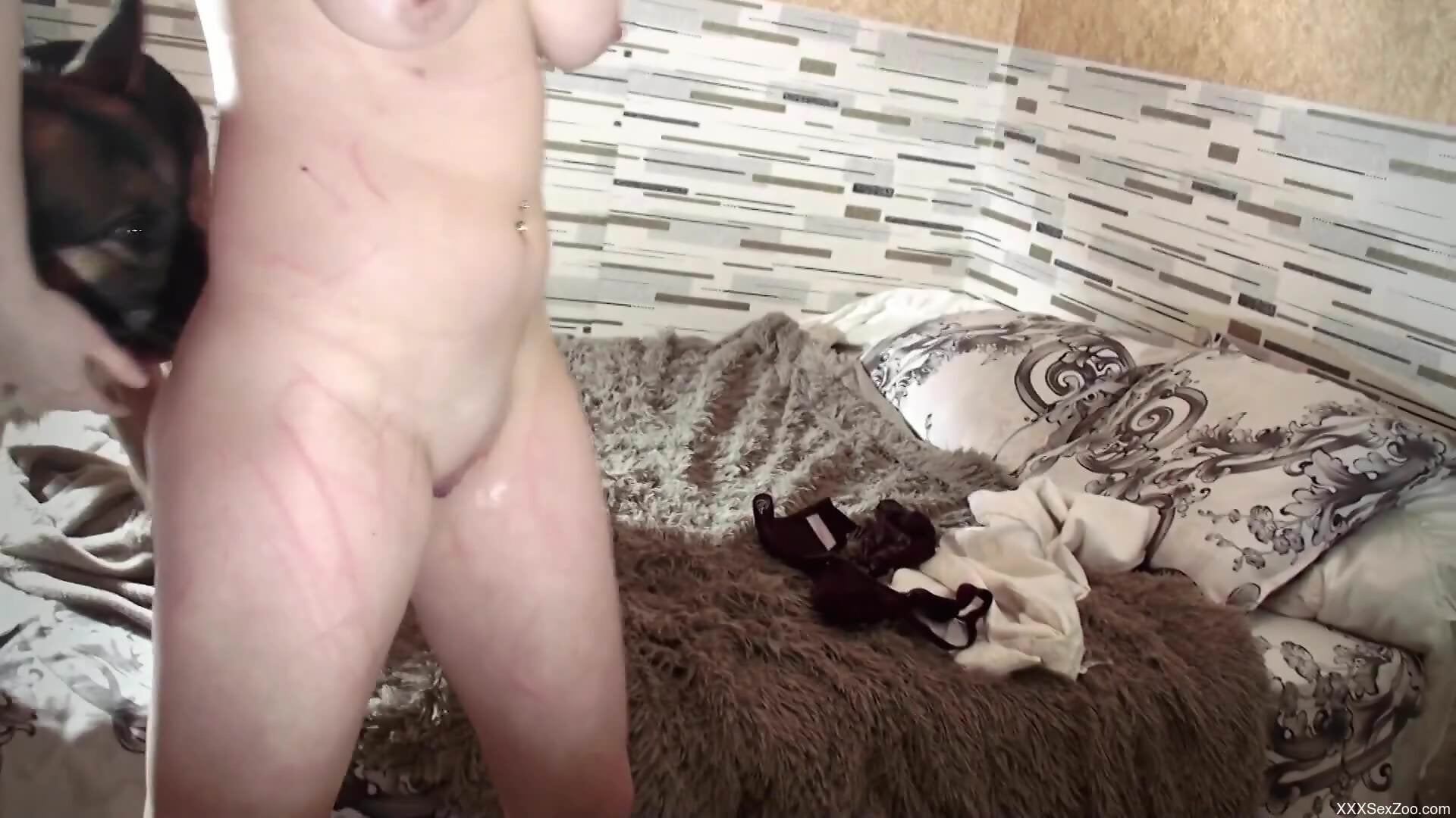 Insolent redhead lets the furry dog hump her in rough manners