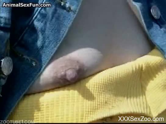 Sexy female feels intrigued by bull's huge cock and for some sex