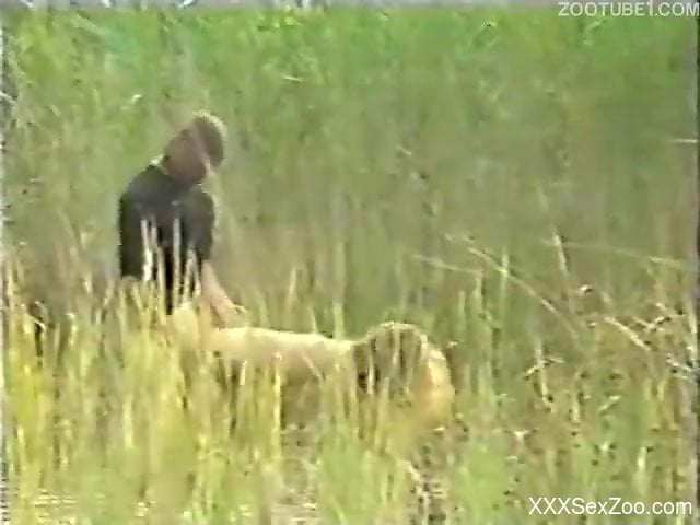 Badass zoophile porno movie with sexy animals