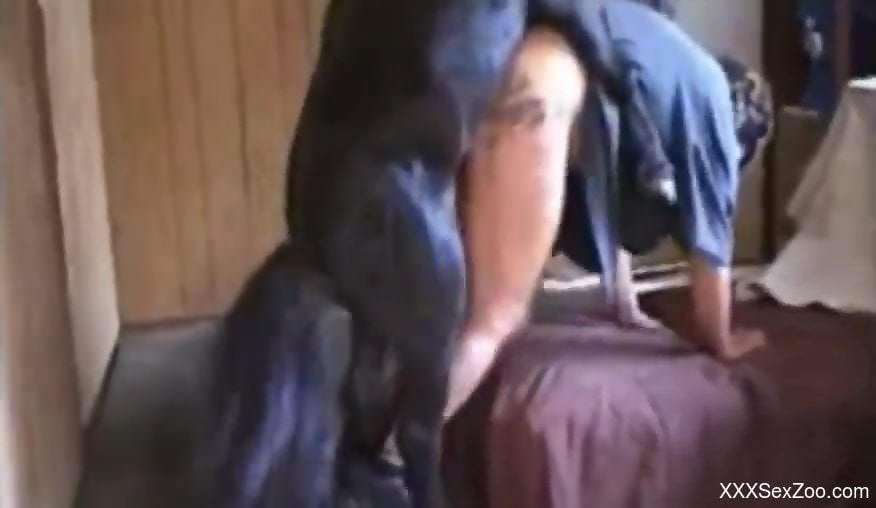 Horny older gal getting fucked by a huge horse cock