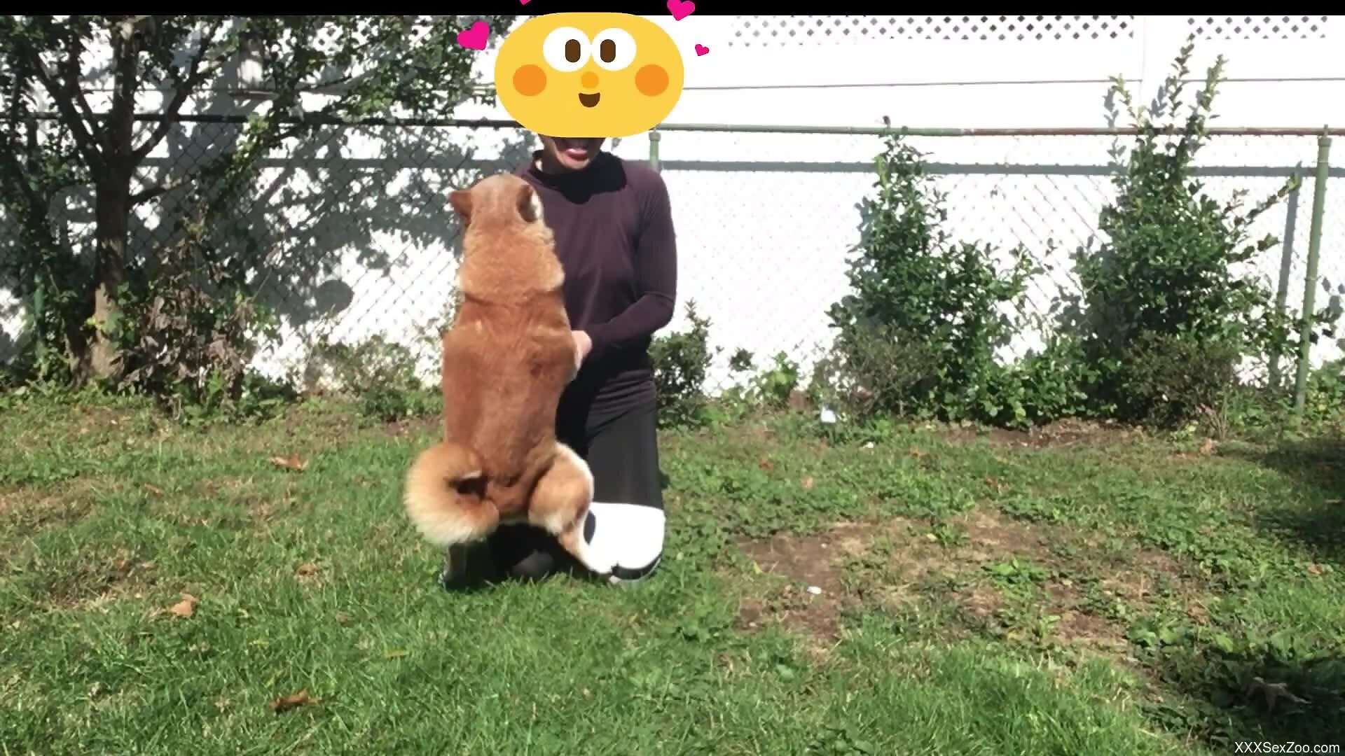 Backyard zoo perversions between a woman and her dog